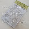 hÄnglar & Wings - A6 Clear Stamps - Apelsiner - Bilde 2
