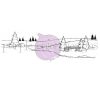 Purple Onion Designs - Frozen Pond