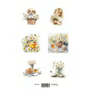 Reprint - Klippark A4 - Summer 2