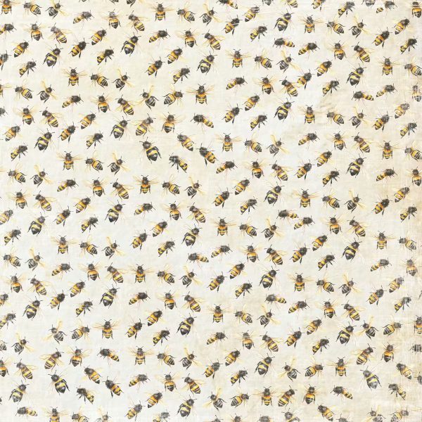 Reprint - 8x8 Paper Pack - Summer Collection - Bilde 7