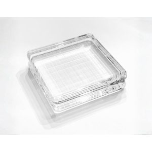 Gina K. Designs - Comfort Block - Medium Square 2.5" x 2.5"