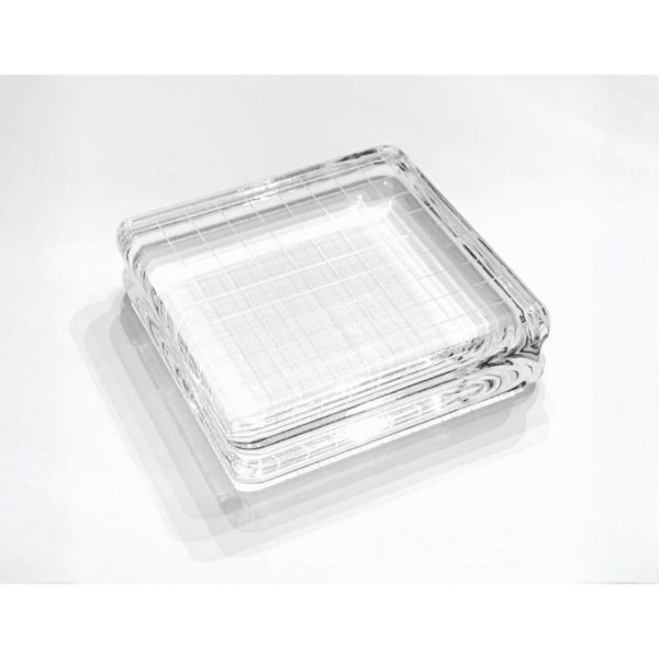 Gina K. Designs - Comfort Block - Medium Square 2.5" x 2.5"