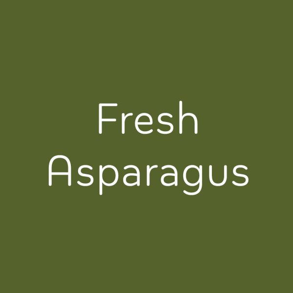 Gina K. Designs - Pure Luxury Cardstock - Fresh Asparagus